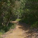 DSC00552