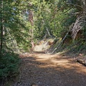 DSC00561