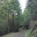 DSC00570