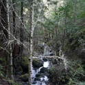 DSC00573