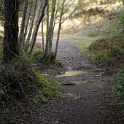 DSC00575