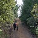 DSC00610