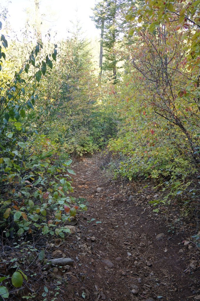 DSC06862