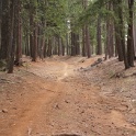 DSC06790