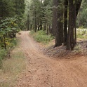 DSC06804
