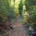 DSC06852