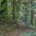 DSC06855