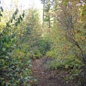 DSC06862
