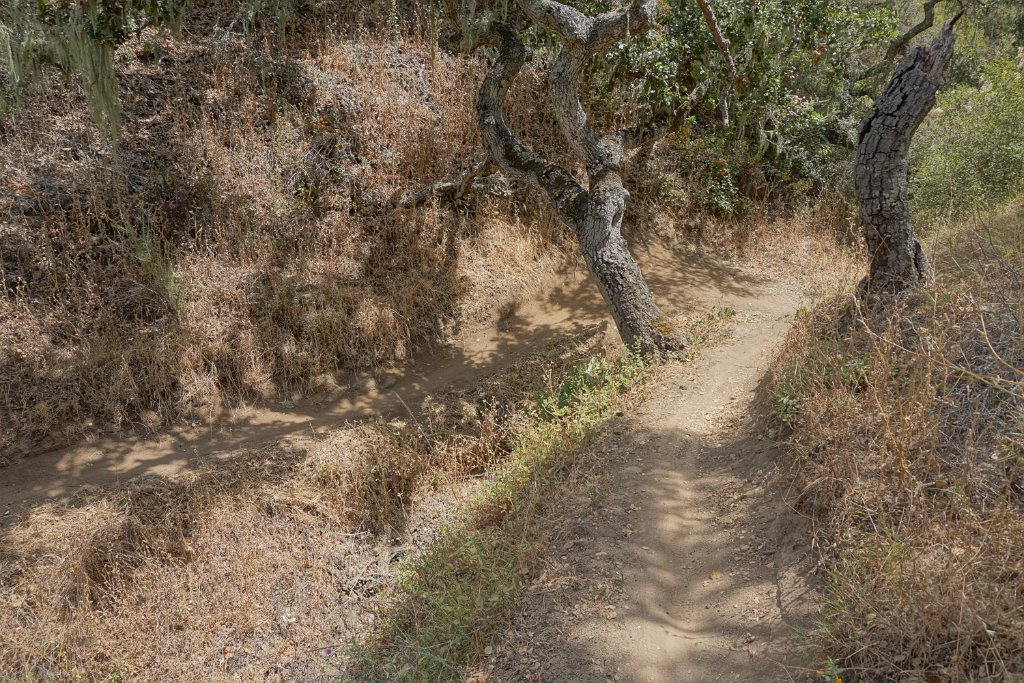 DSC02868