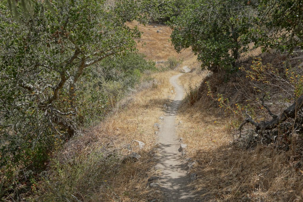 DSC02885