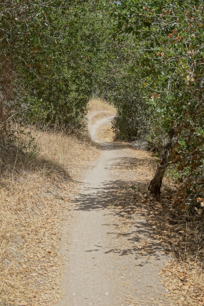 DSC02904