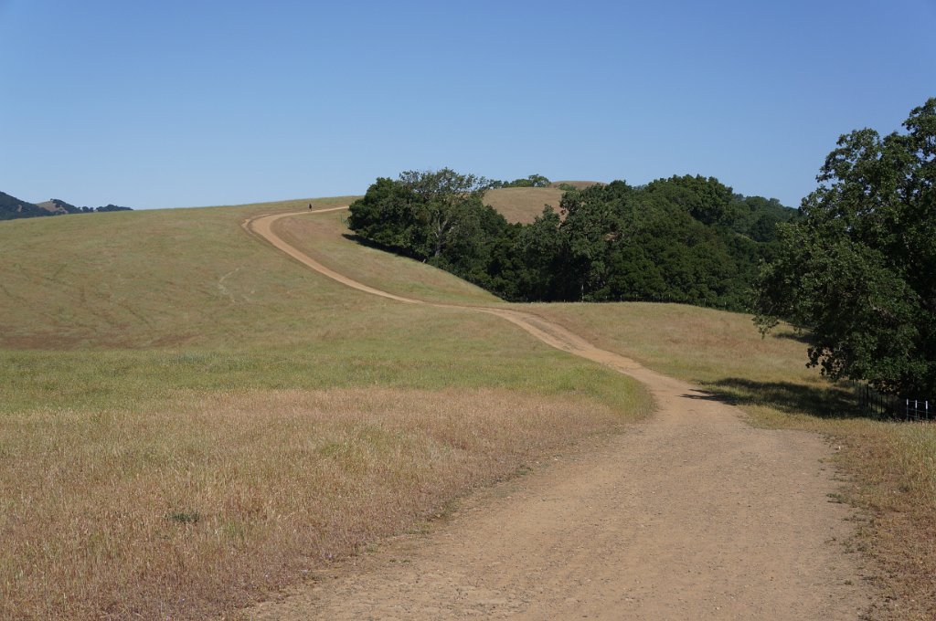 DSC05566