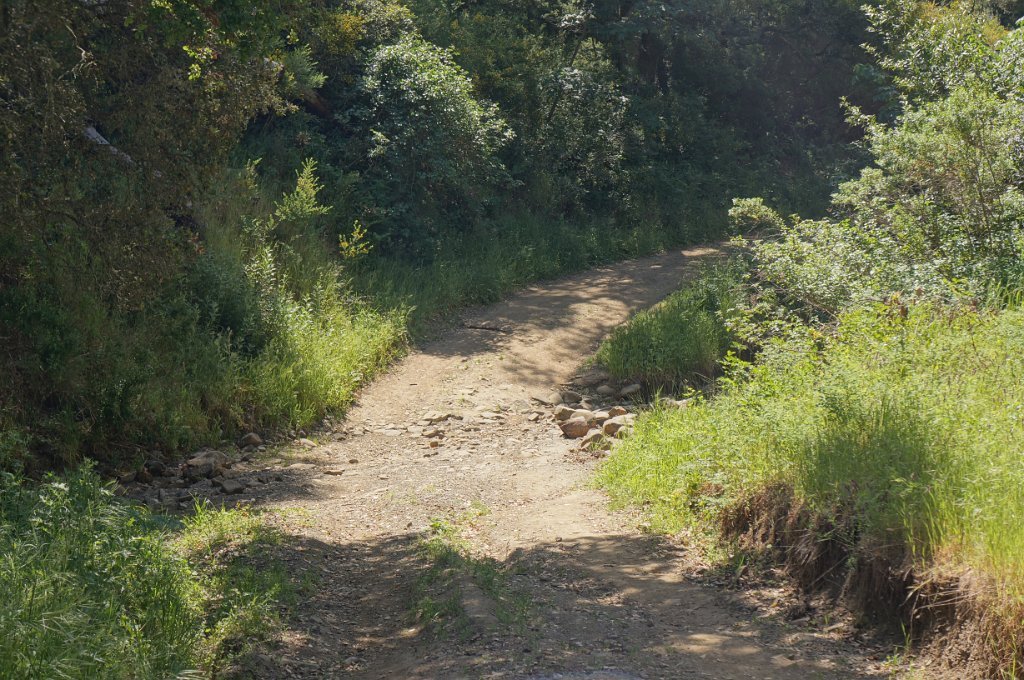 DSC05612