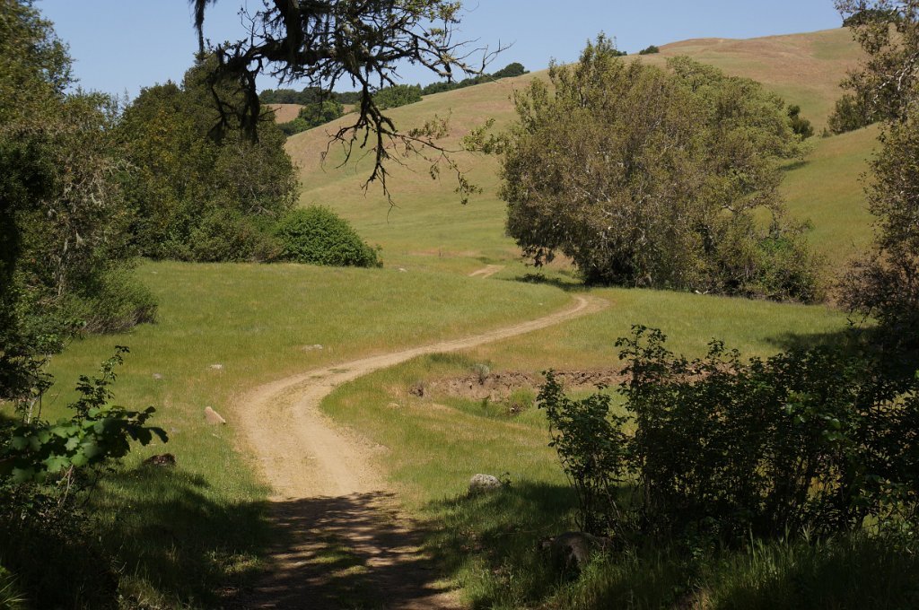DSC05625