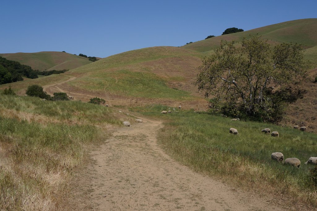DSC05633