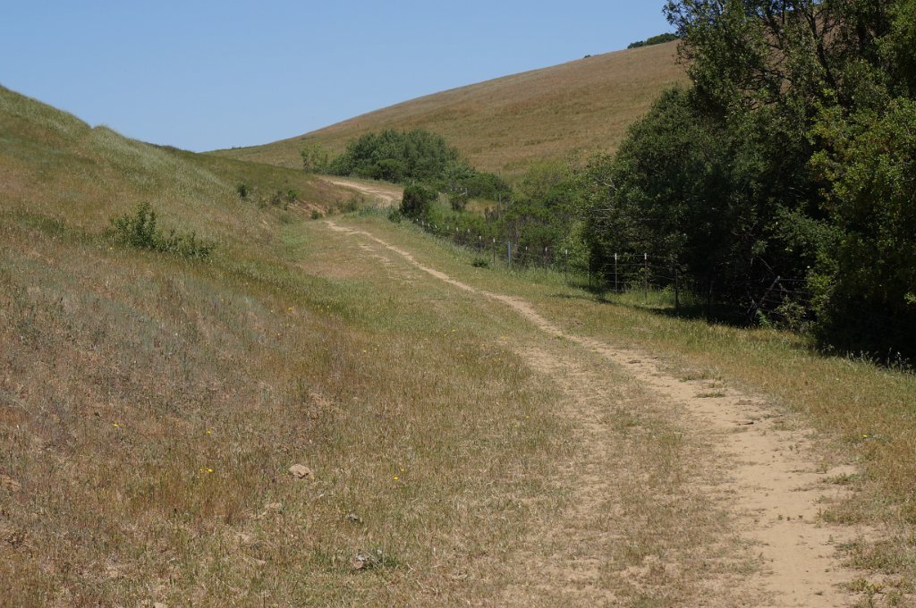 DSC05636
