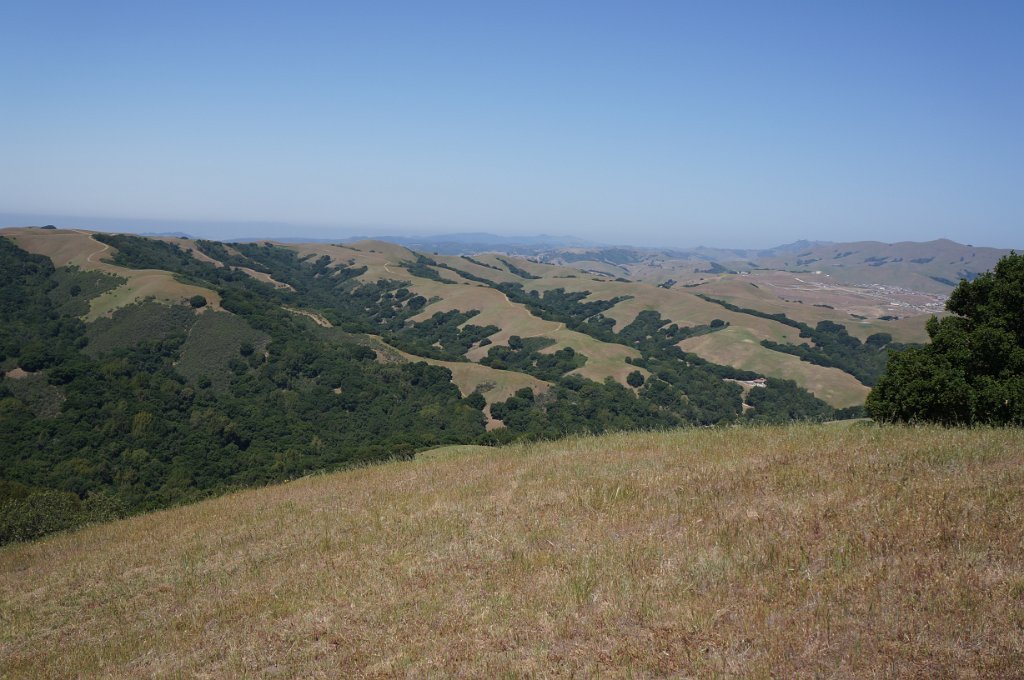 DSC05640