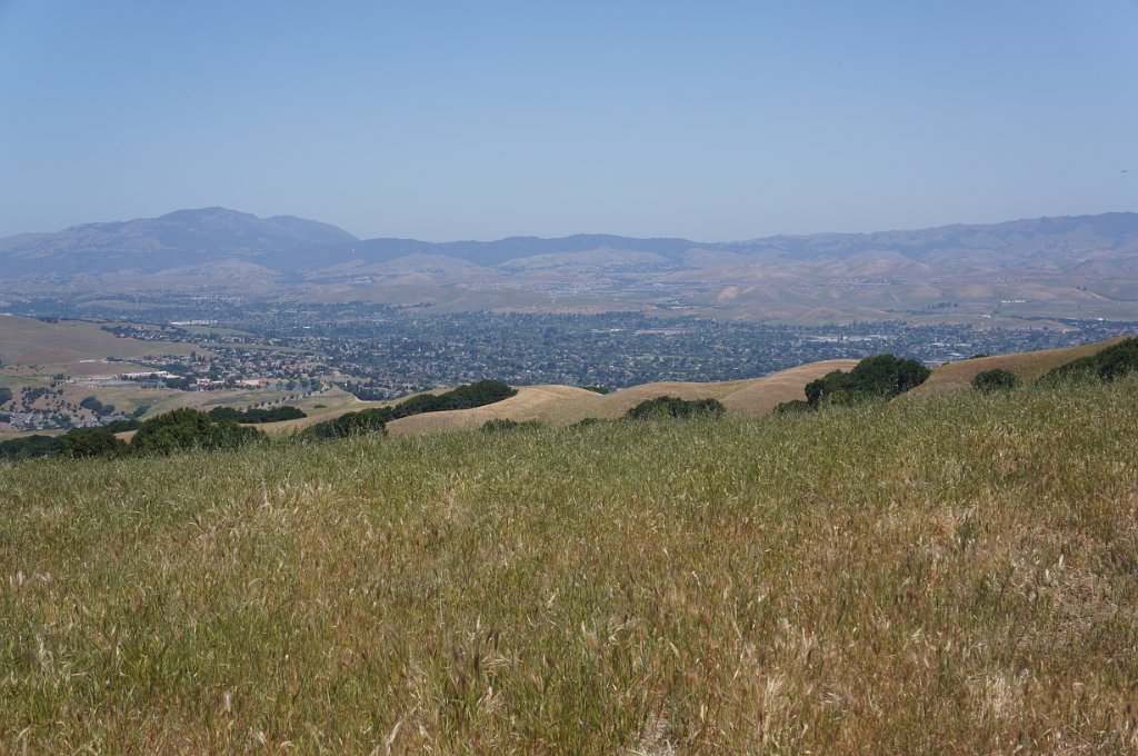 DSC05646