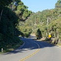 DSC06704
