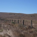 DSC06763