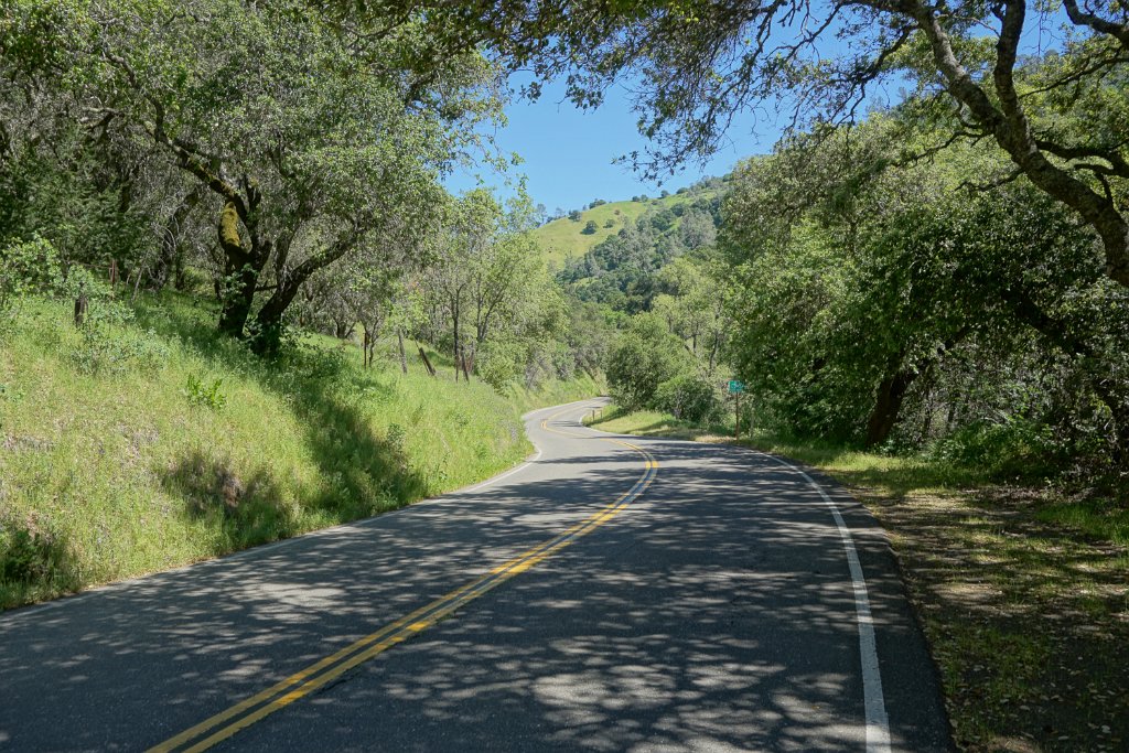 DSC03805