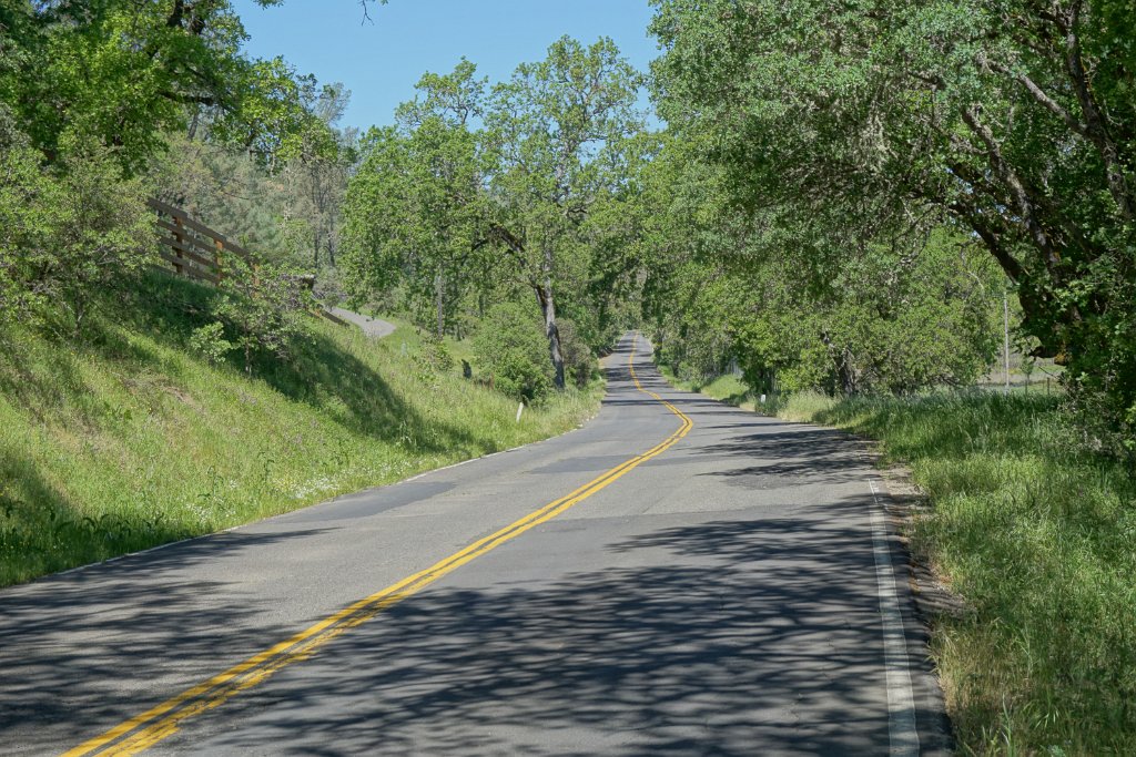 DSC03859