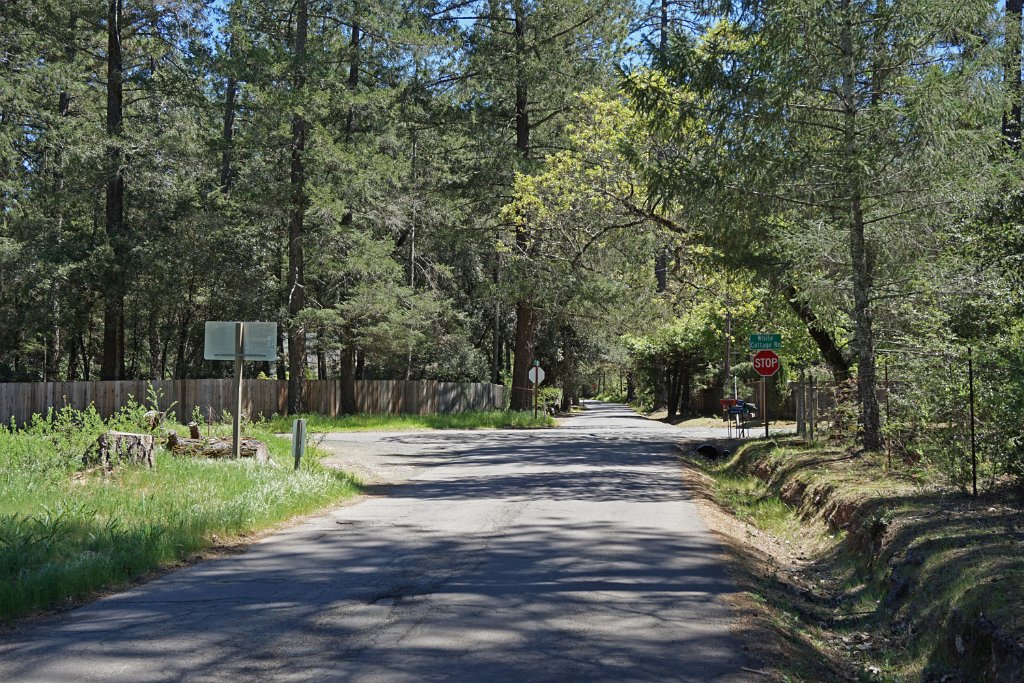 DSC03949