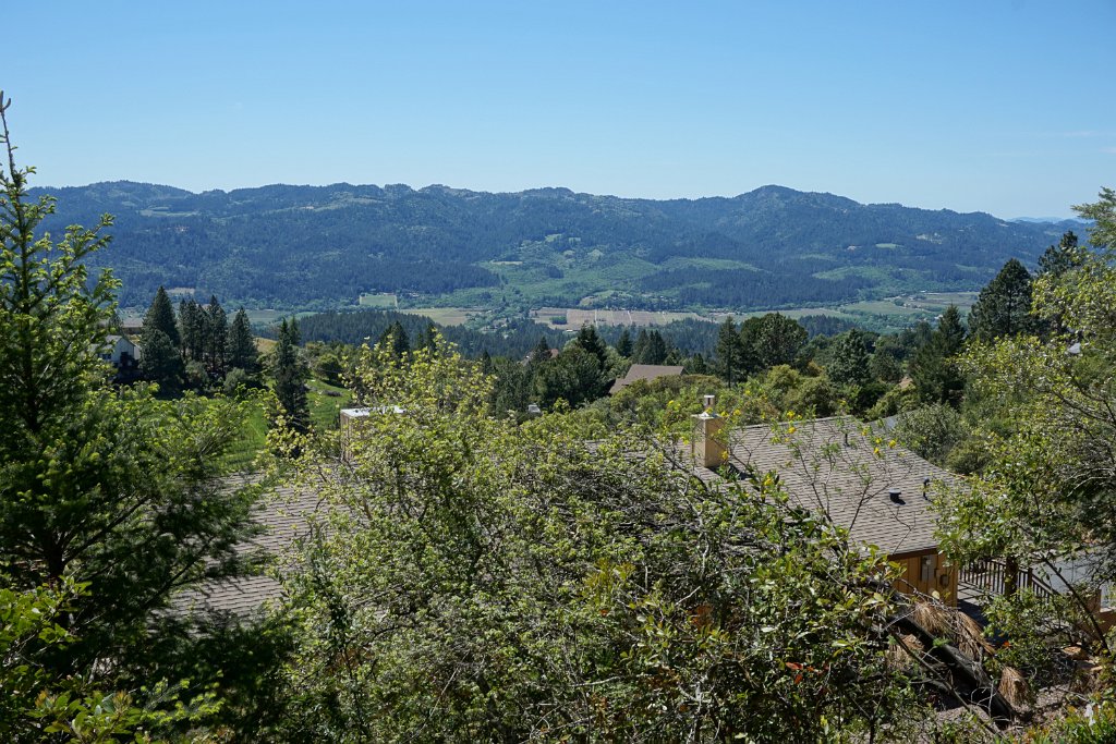 DSC03968