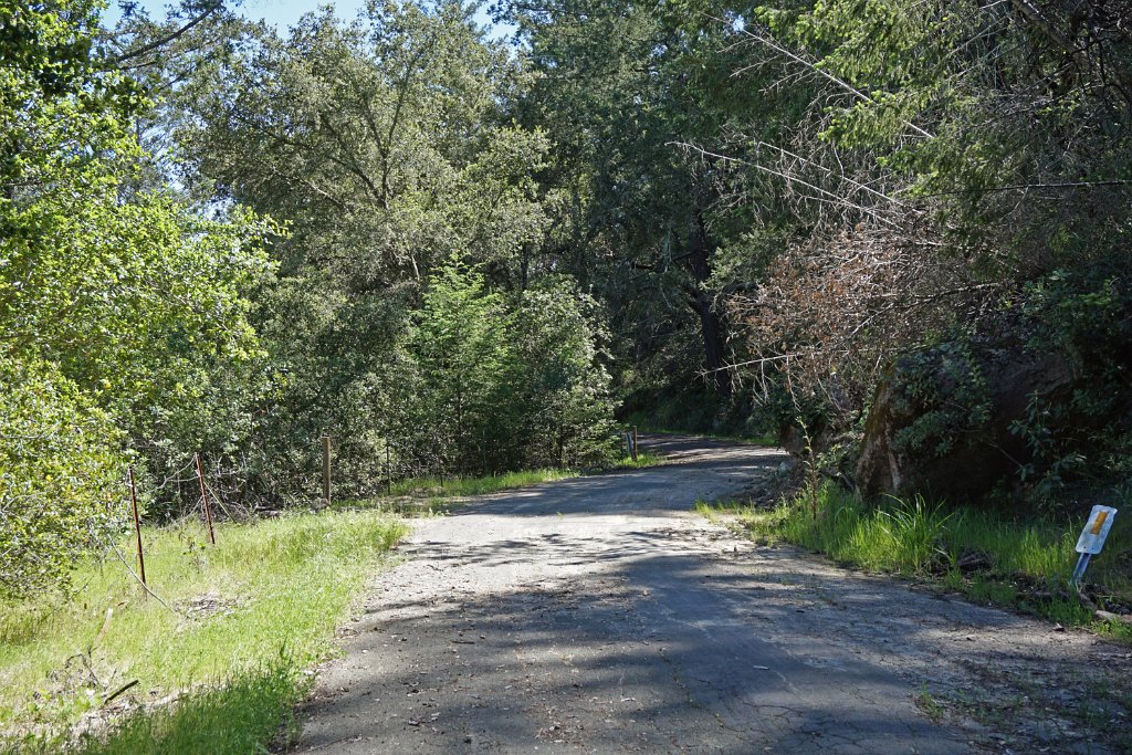 DSC03998