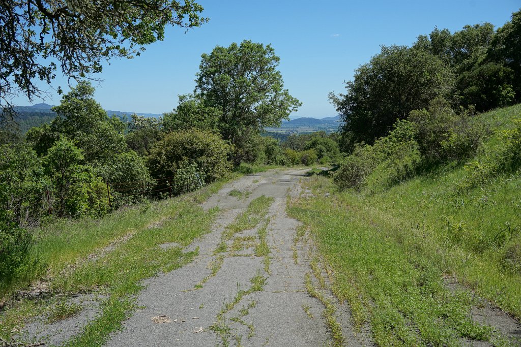 DSC04003