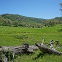 DSC03846
