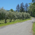 DSC03917