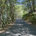 DSC03922