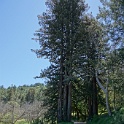 DSC03924