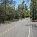 DSC03951