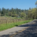 DSC03956