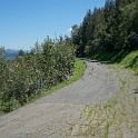 DSC03979