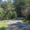 DSC03998