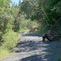 DSC04005