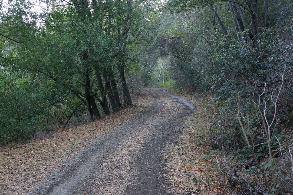 DSC07435