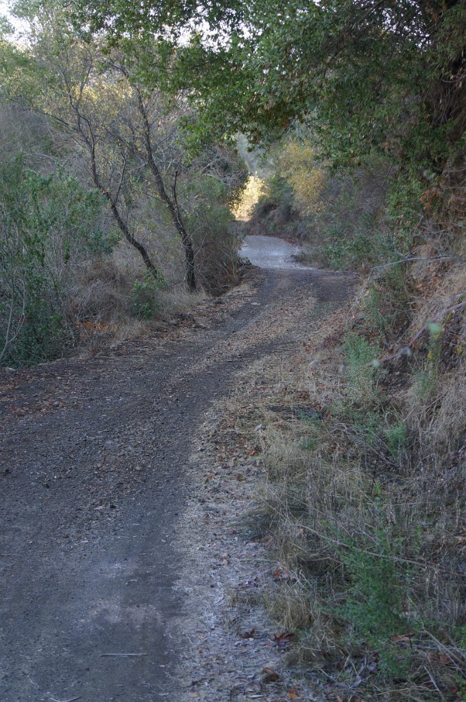 DSC07436