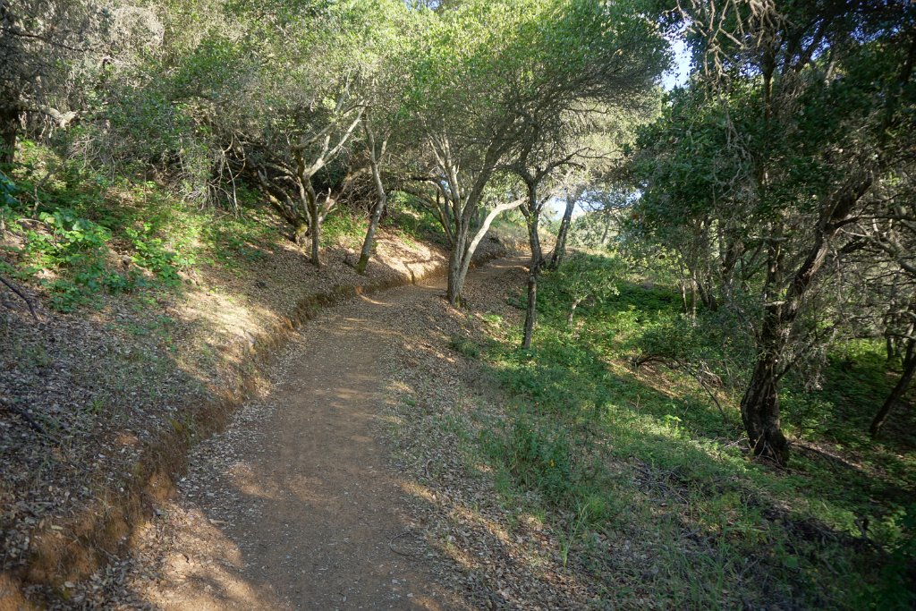 DSC08698