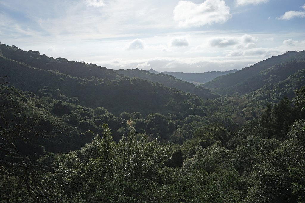 DSC08701