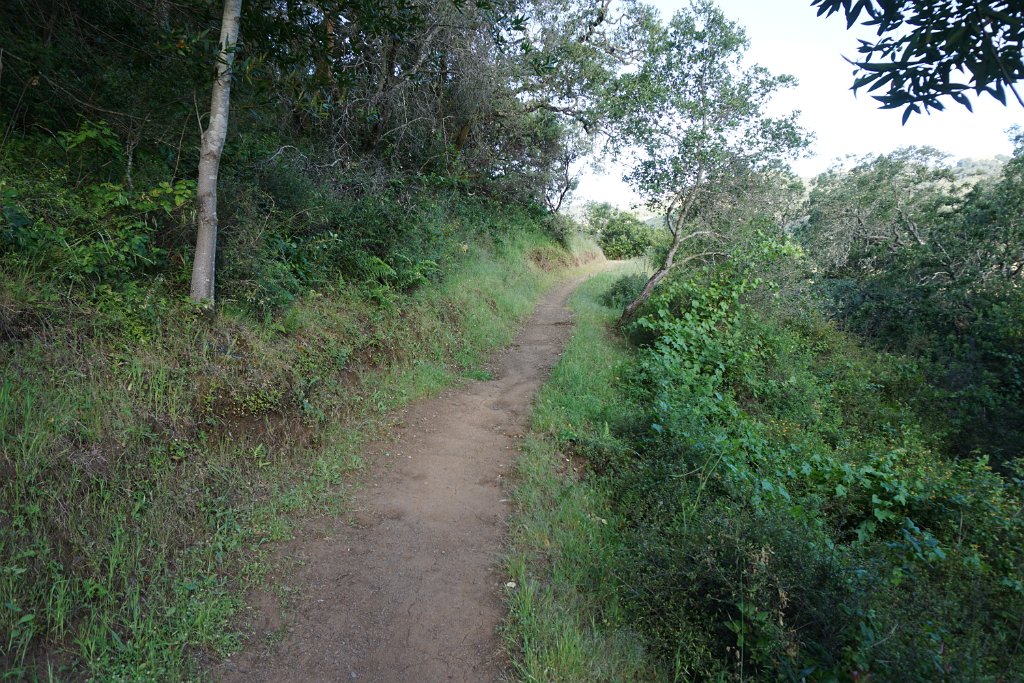 DSC08703