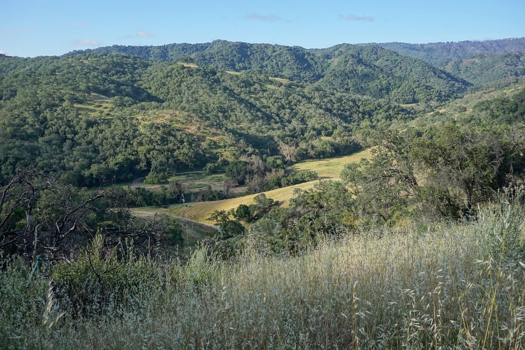 DSC08705