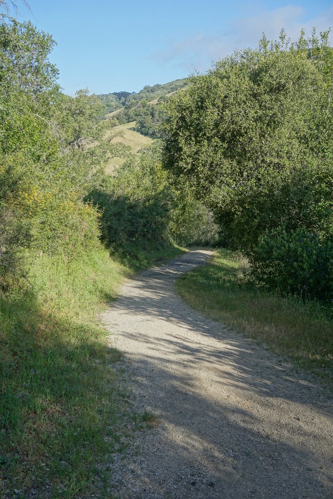 DSC08725