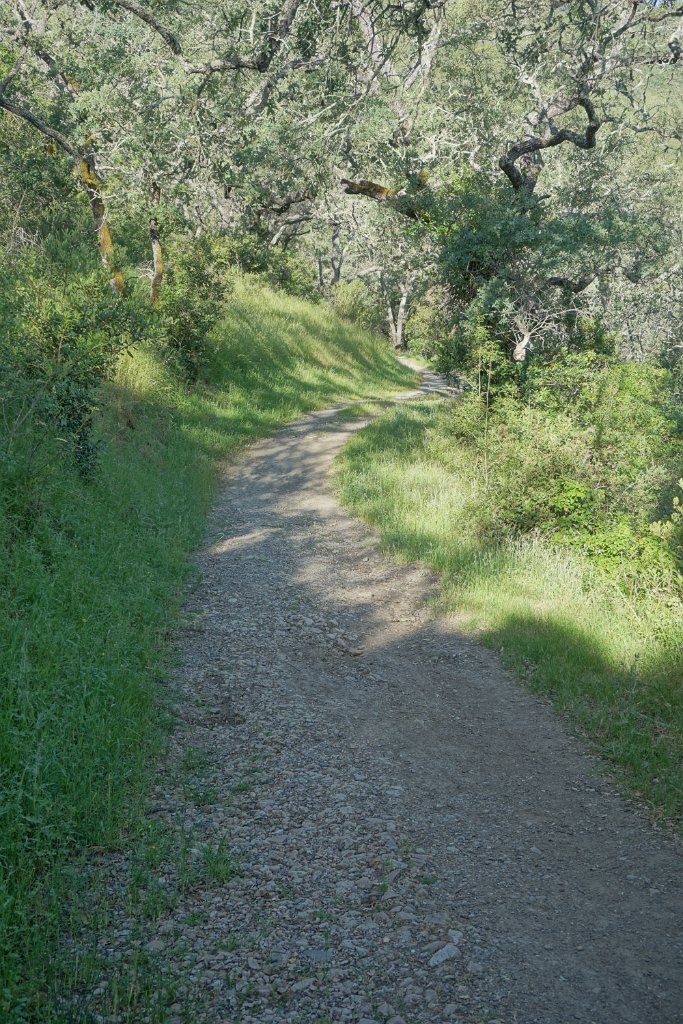 DSC08727
