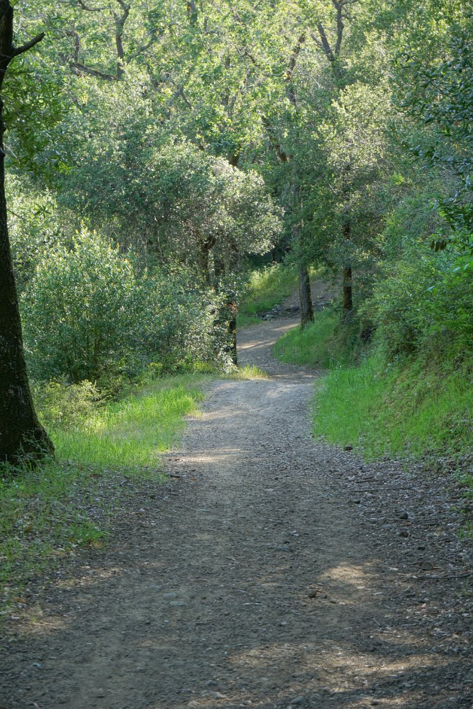 DSC08729