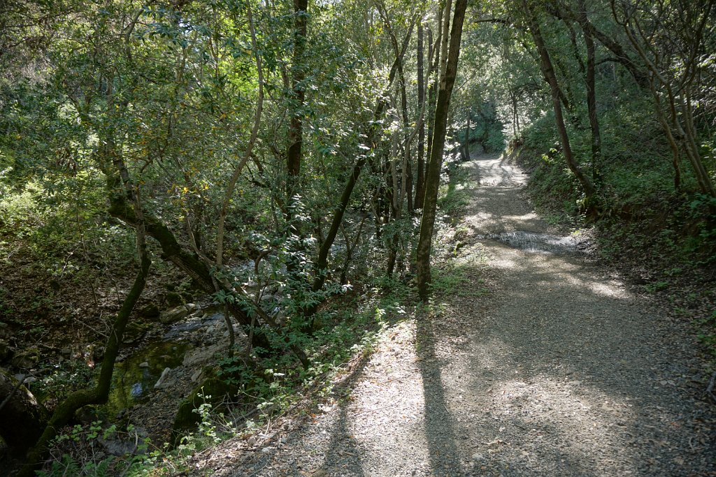 DSC08733