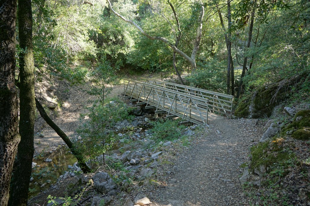 DSC08737